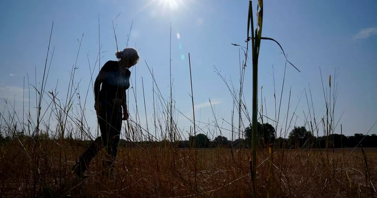 Massive Government Report Warns of Far-Reaching and Worsening Climate Change Impacts in the US