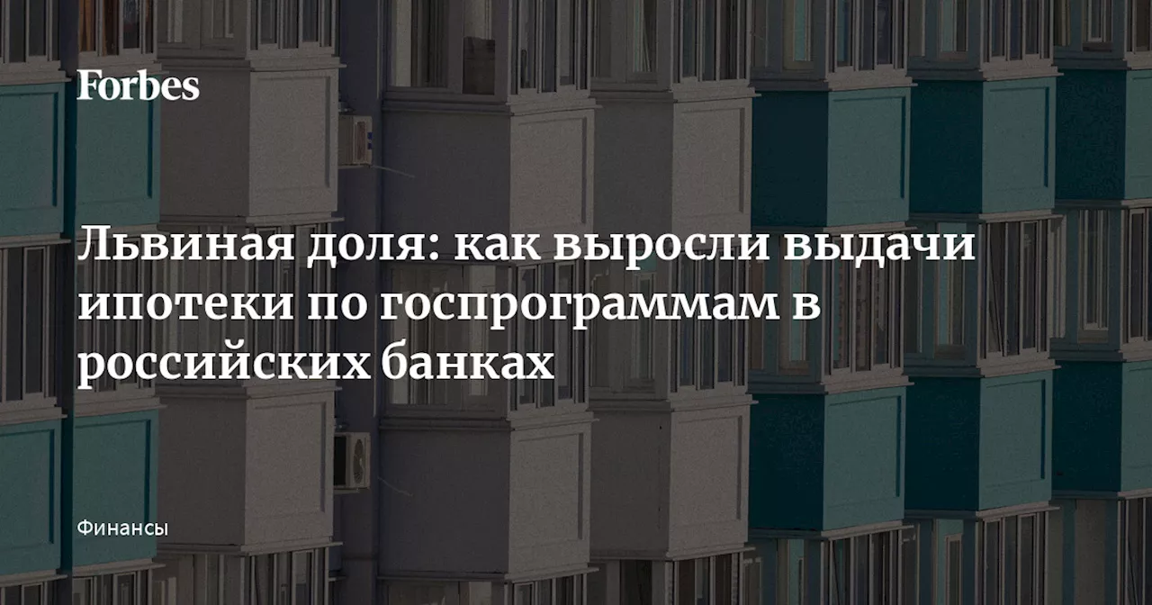 Львиная доля: как выросли выдачи ипотеки по госпрограммам в российских банках