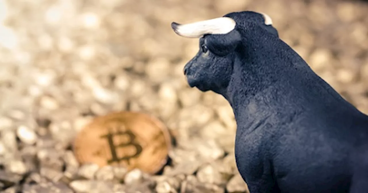 Bitcoin Bounces Back Above $37,000 as Buyers Return