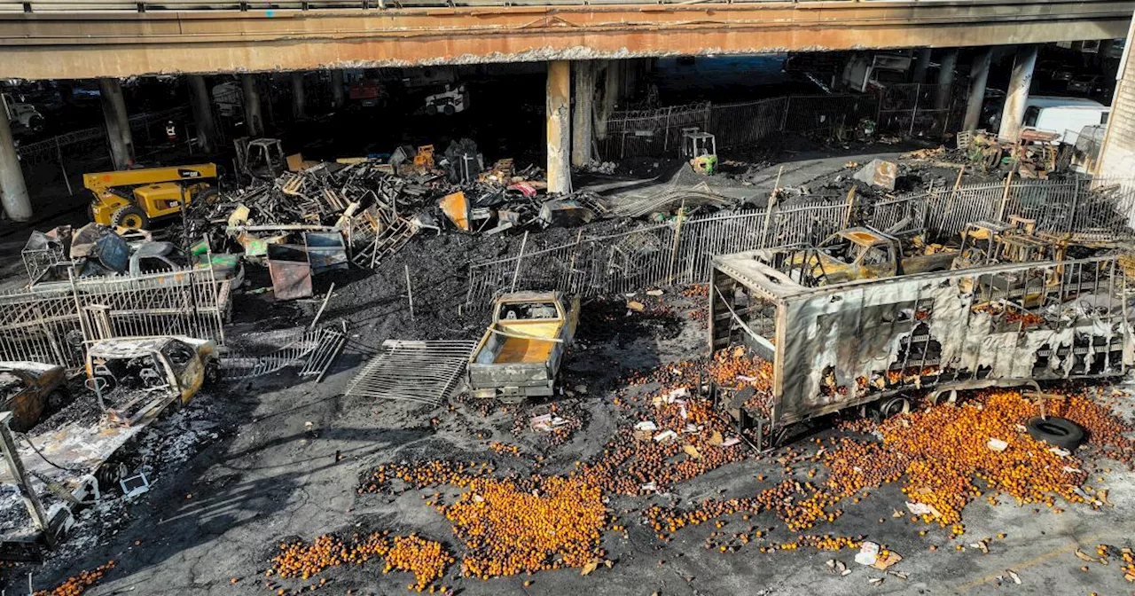 Fire Destroys Small Businesses Underneath Los Angeles Freeway