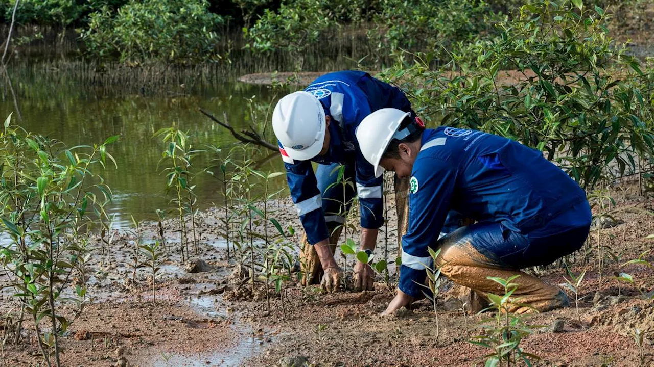 ESG Mengubah Perspektif di Dunia Bisnis dan Investasi