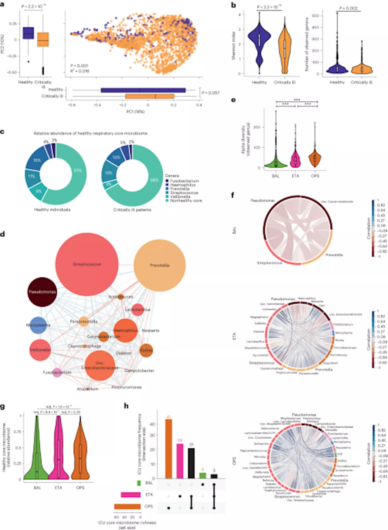 Respiratory Microbial Dysbiosis Associated with Acute Respiratory Distress Syndrome and Hospital-Acquired Pneumonia in Critically Ill Patients