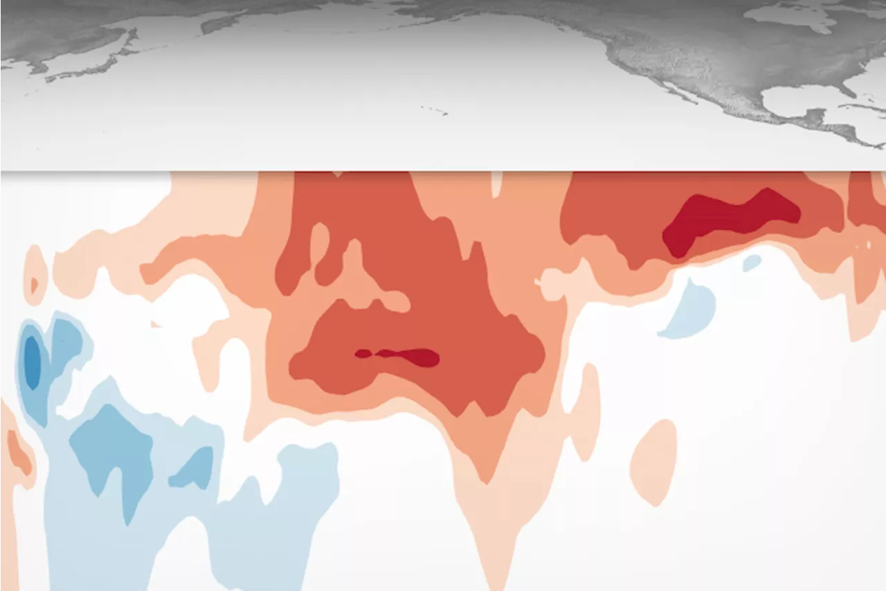 El Niño's Wide-Ranging Impacts