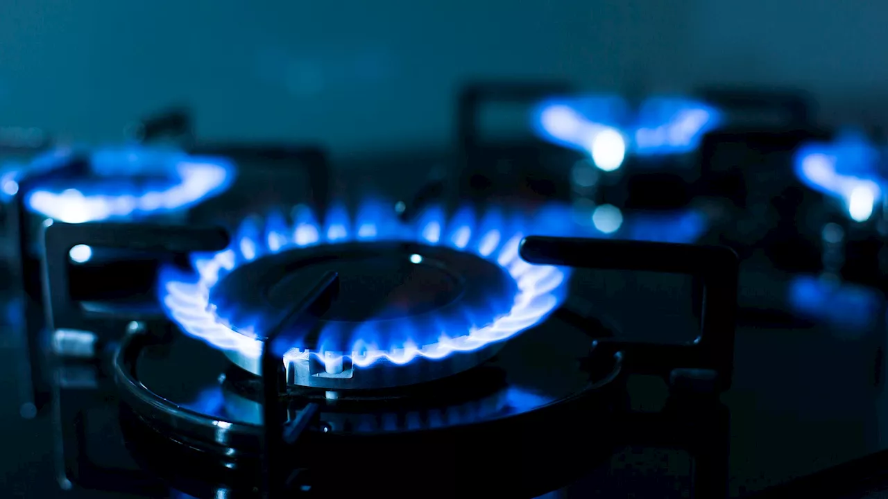 The Gas Industry's Campaign to Promote Gas Stoves