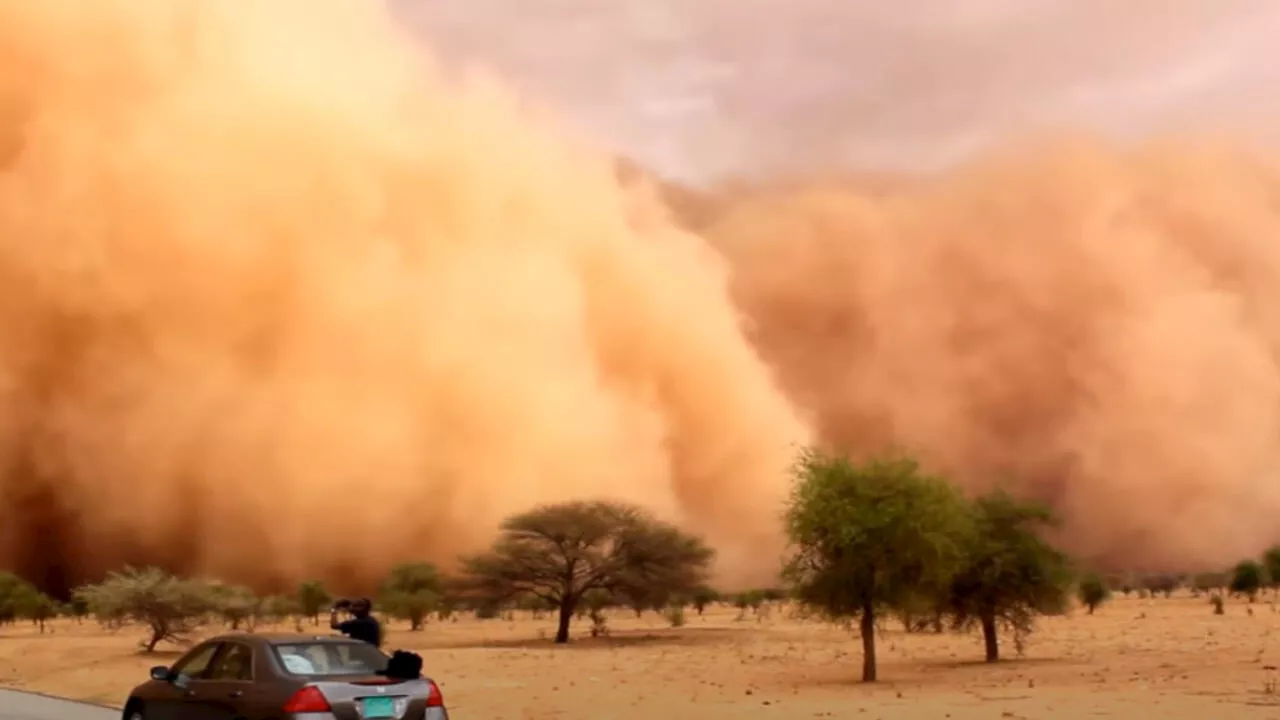 Les tempêtes de sable et de poussière sont de plus en plus fréquentes