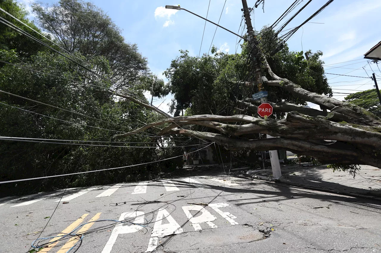 Fortes chuvas causam quedas de árvores e apagões em São Paulo