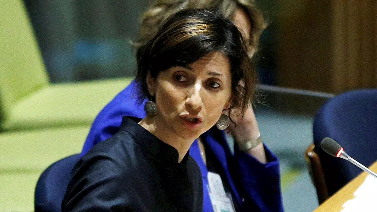 UN Special Rapporteur Claims Israel Does Not Have Right to Self-Defense Against Hamas