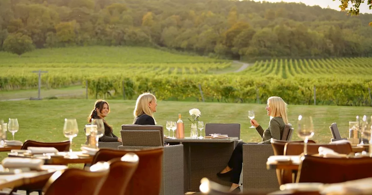 Vineyard Hotels: A Growing Trend in the UK's Wine Country