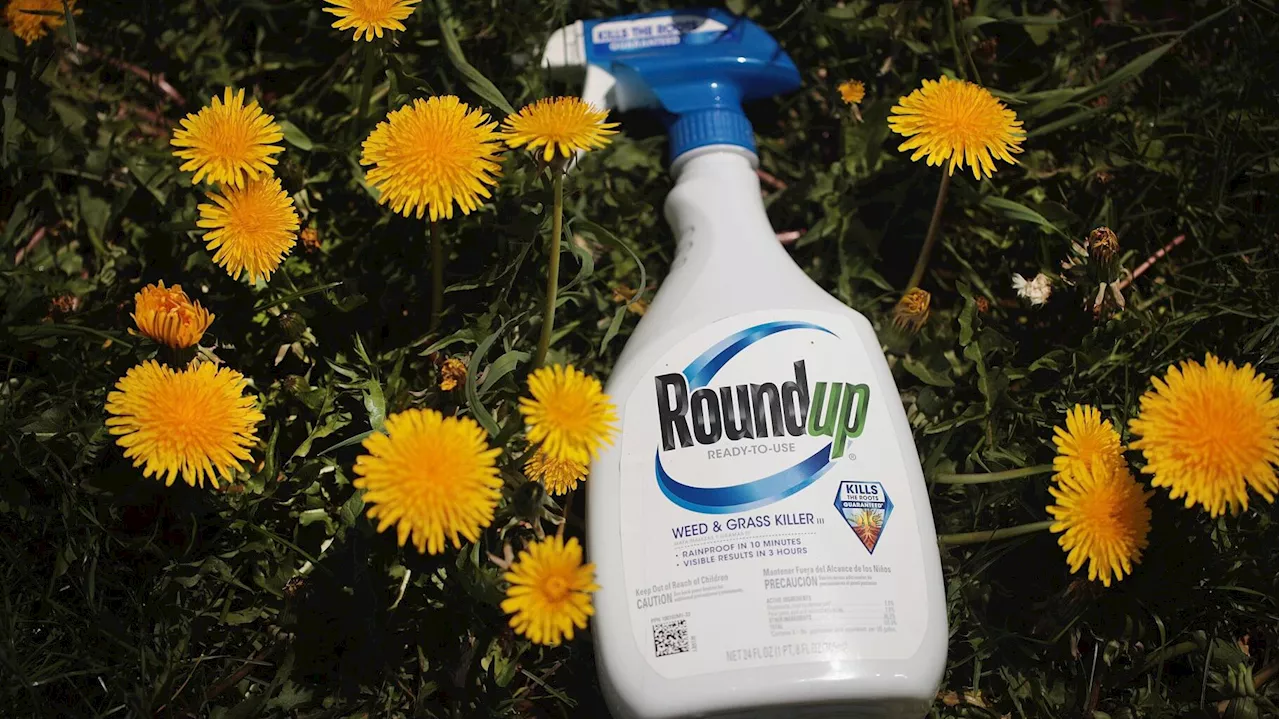 L'Union européenne échoue à s'entendre sur l'autorisation du glyphosate