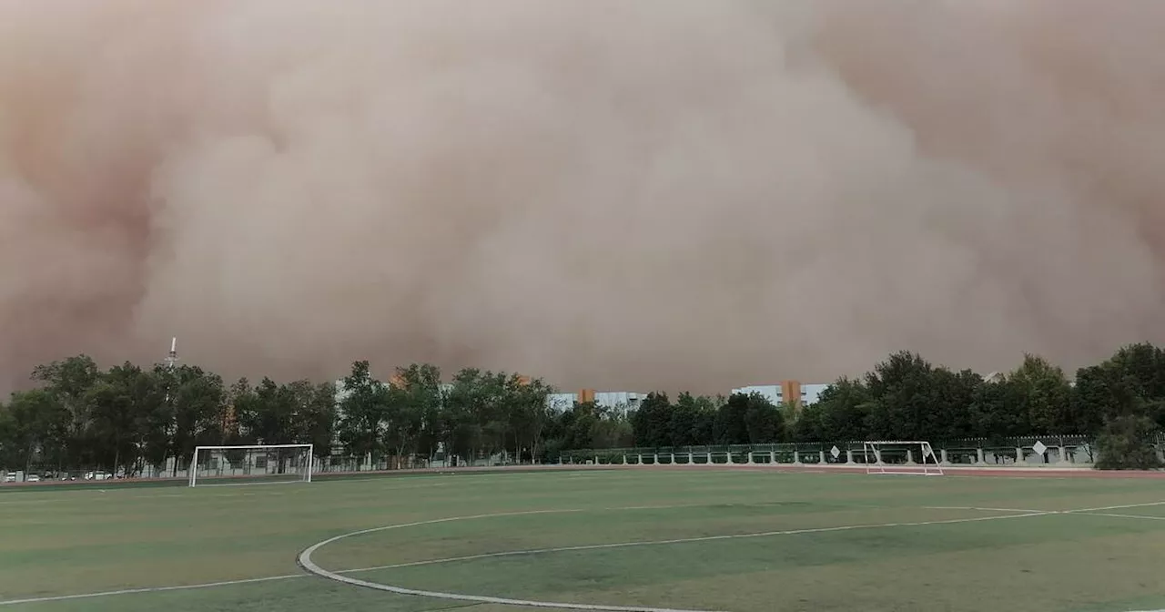 Alerte de l'ONU sur la quantité de sable et de poussière rejetée dans l'atmosphère