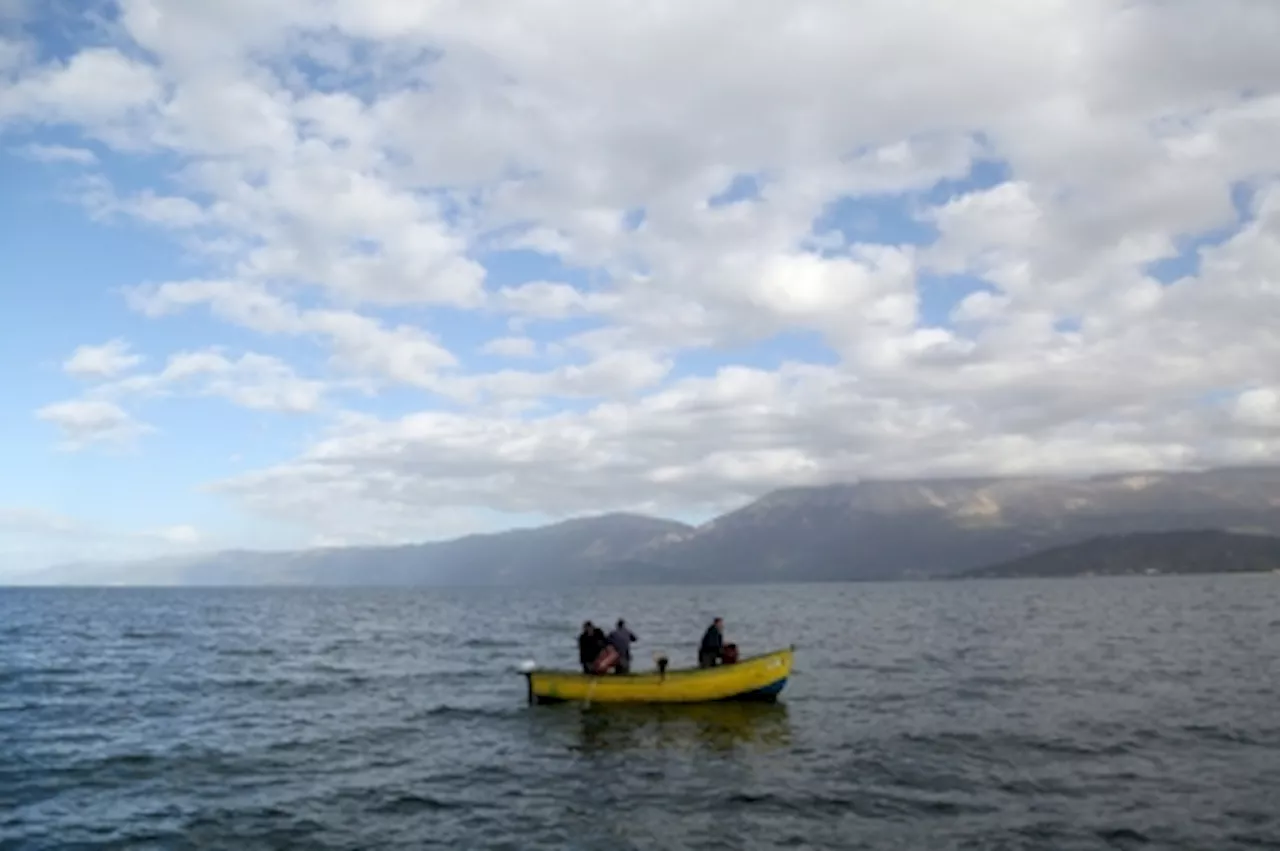 Specialists race to release endangered trout in Albania's Lake Ohrid