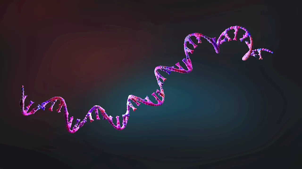 RNA's Milestones: DNA's Younger Sibling