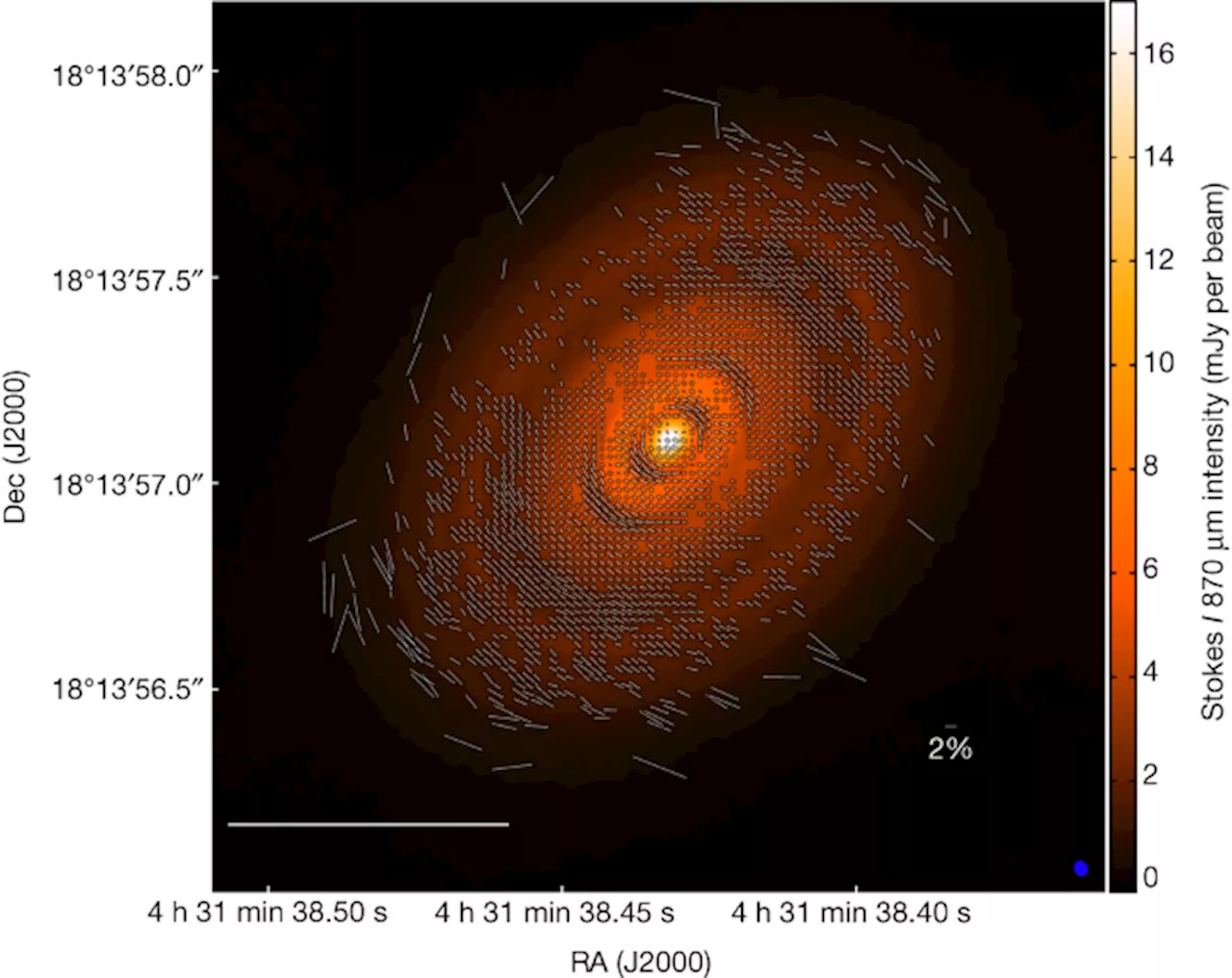 Polarized (sub)millimetre emission from dust grains in circumstellar disks