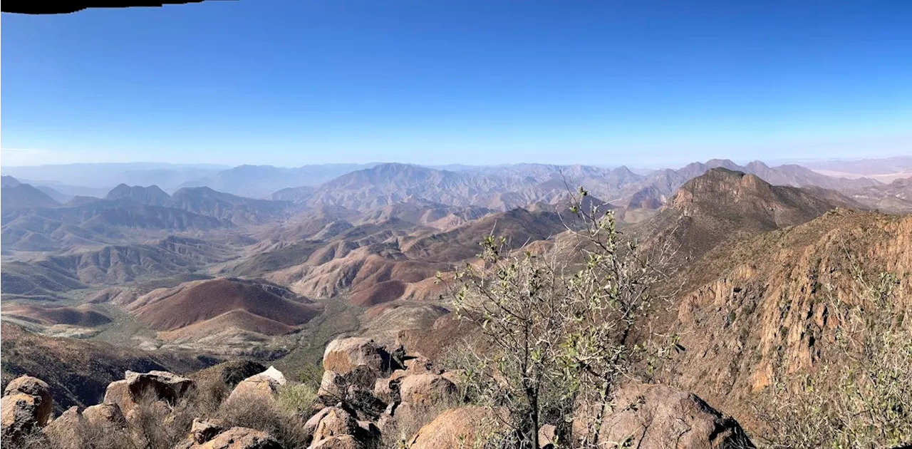 Exploring Biodiversity in the Remote Kaokoveld Region