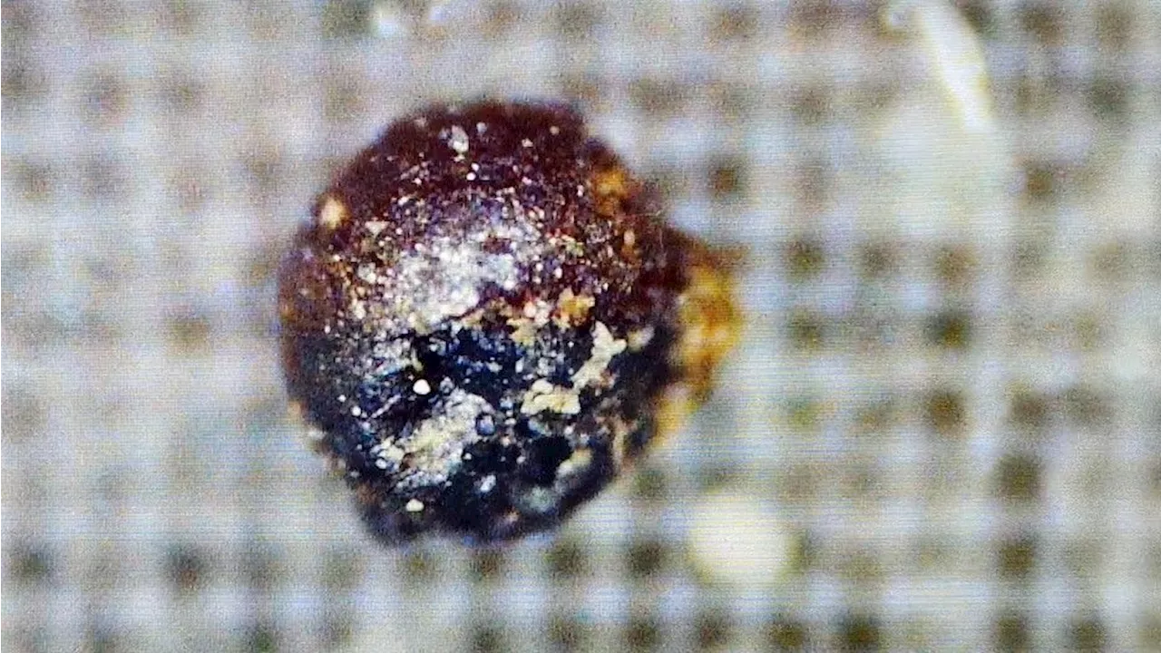 Microscopic Metallic Spheres in Pacific Ocean Likely Result of Industrial Pollution, Not Interstellar Meteor