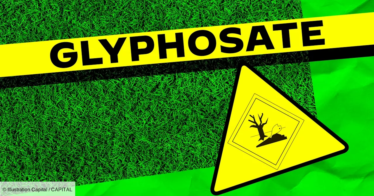 Renouvellement de l'autorisation du glyphosate dans l'Union européenne