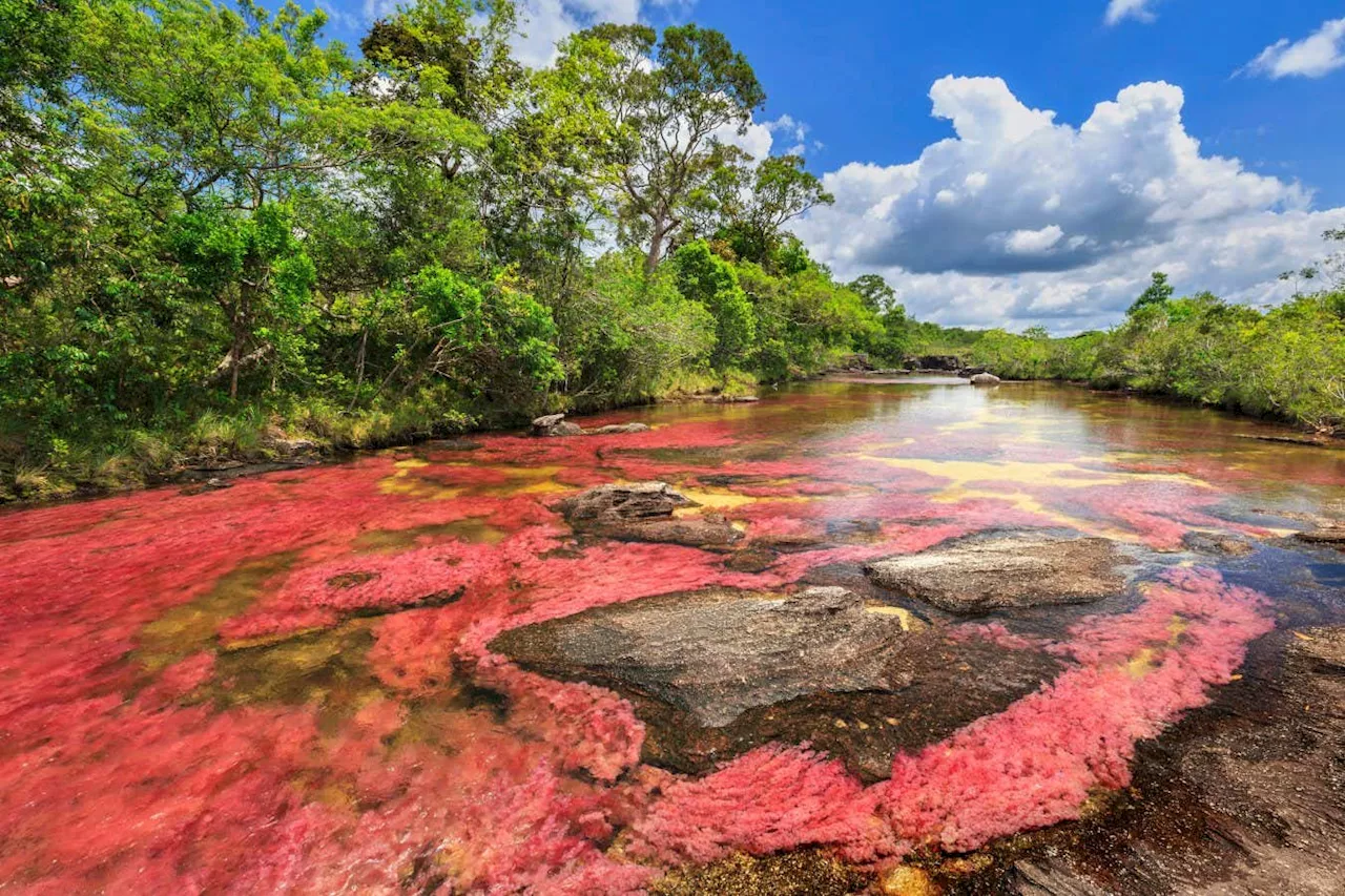 10 Remarkable Rivers from Around the World