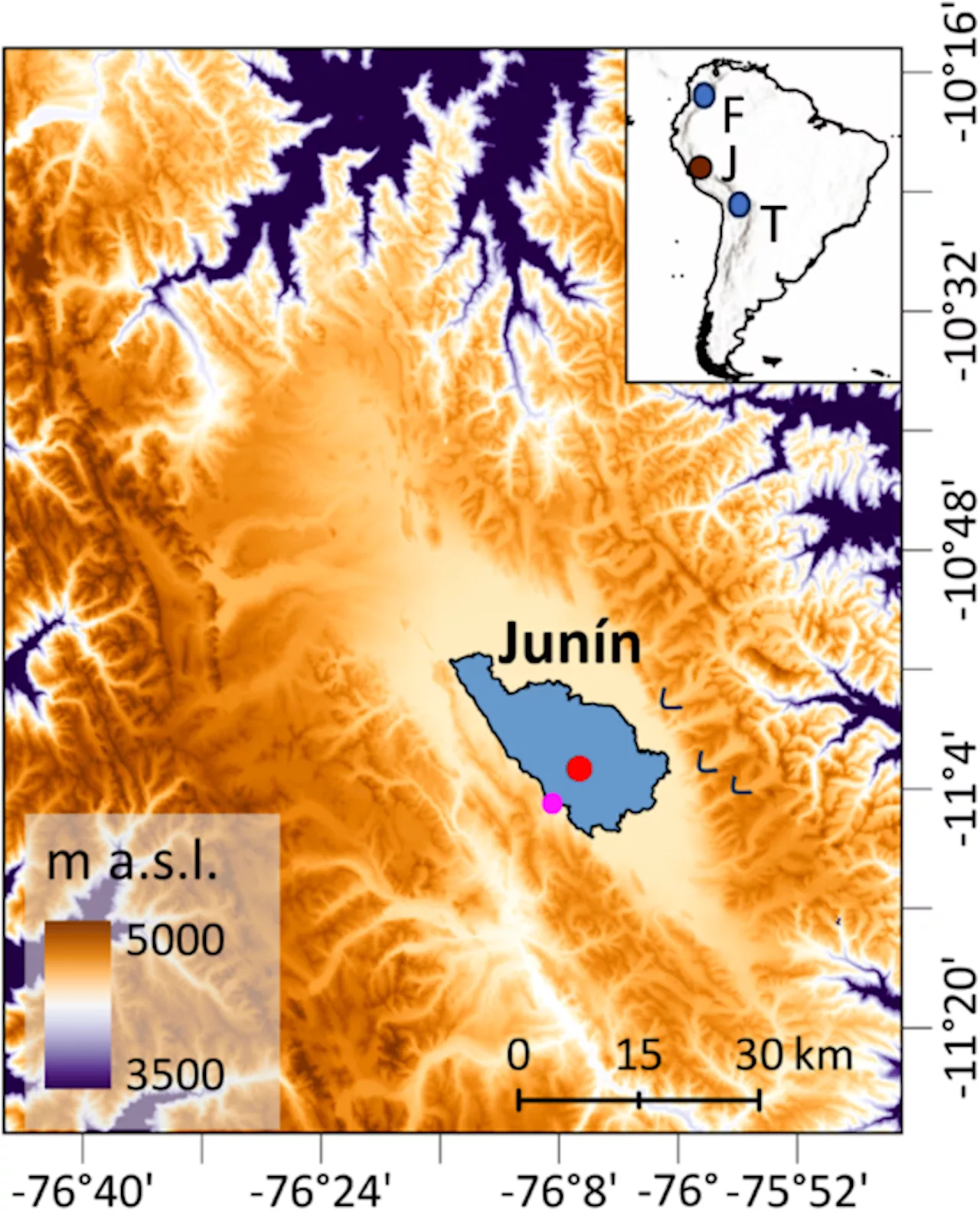 Longest Record of Tropical Vegetation Change Recovered from Lake Junín