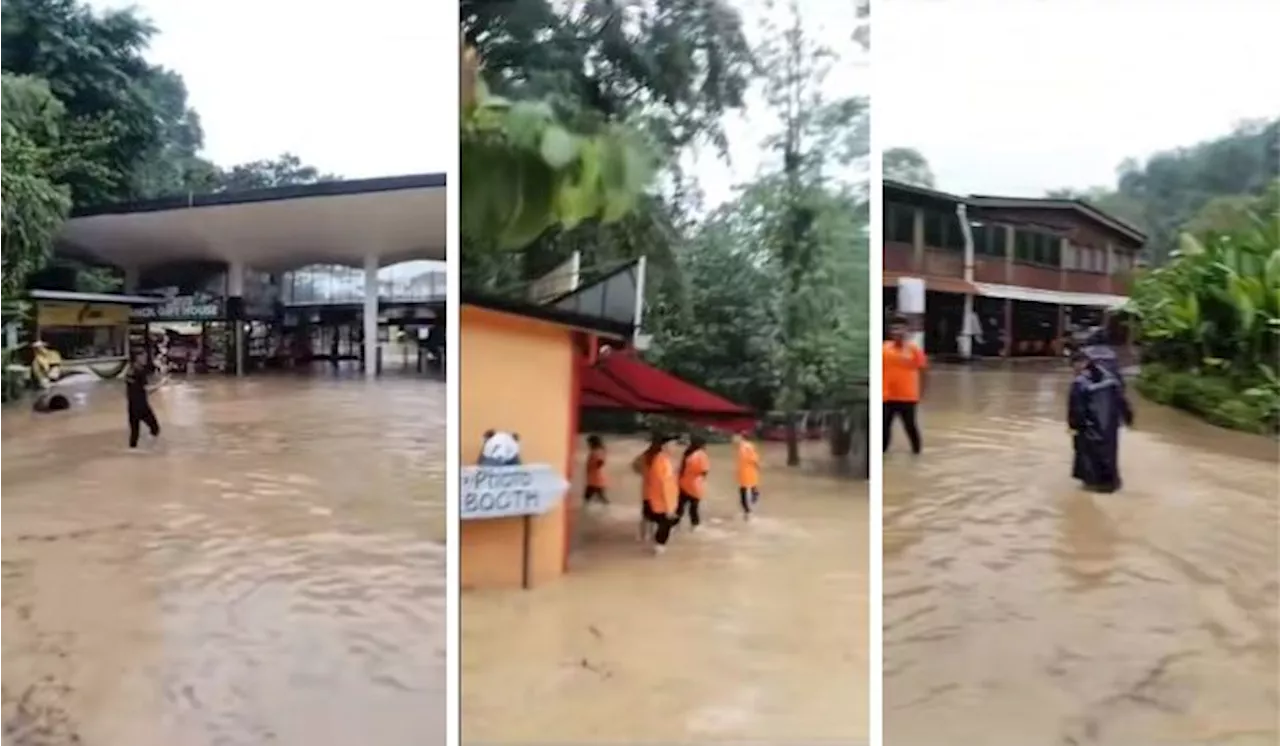 Flash Floods Becoming Common in Malaysia as Northeast Monsoon Season Begins