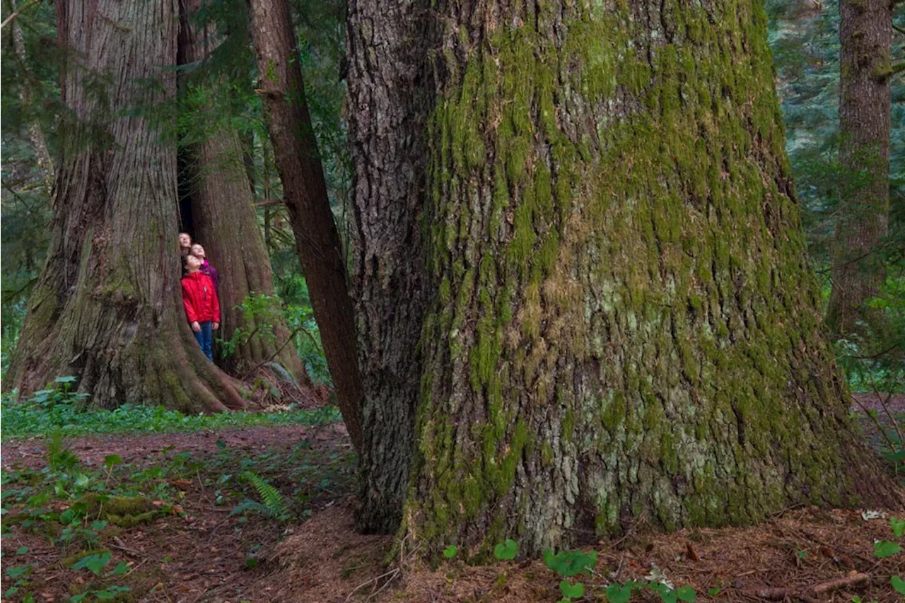 Protecting British Columbia's Biodiversity: The Nature Trust's Conservation Efforts