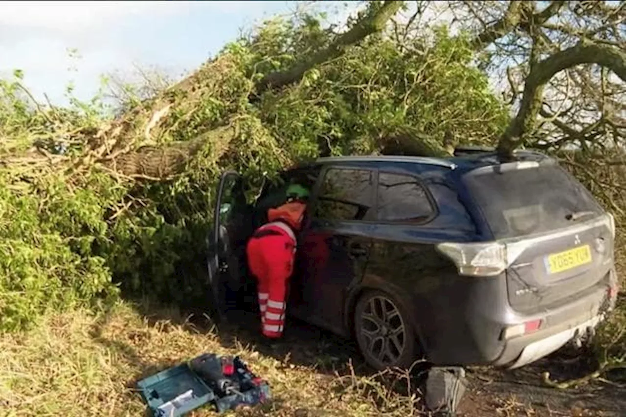 Married Couple Rescued in Helicopter ER Season Finale