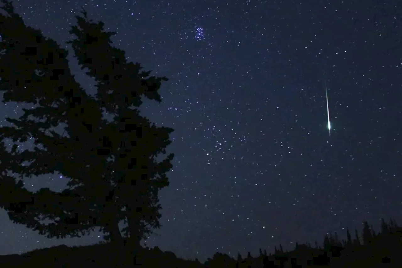 Leonid Meteor Shower to Light Up Night Sky This Weekend