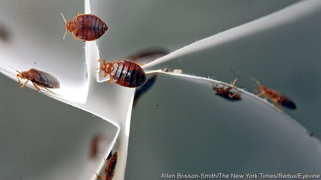 Paris Metro Seats Infested with Bedbugs