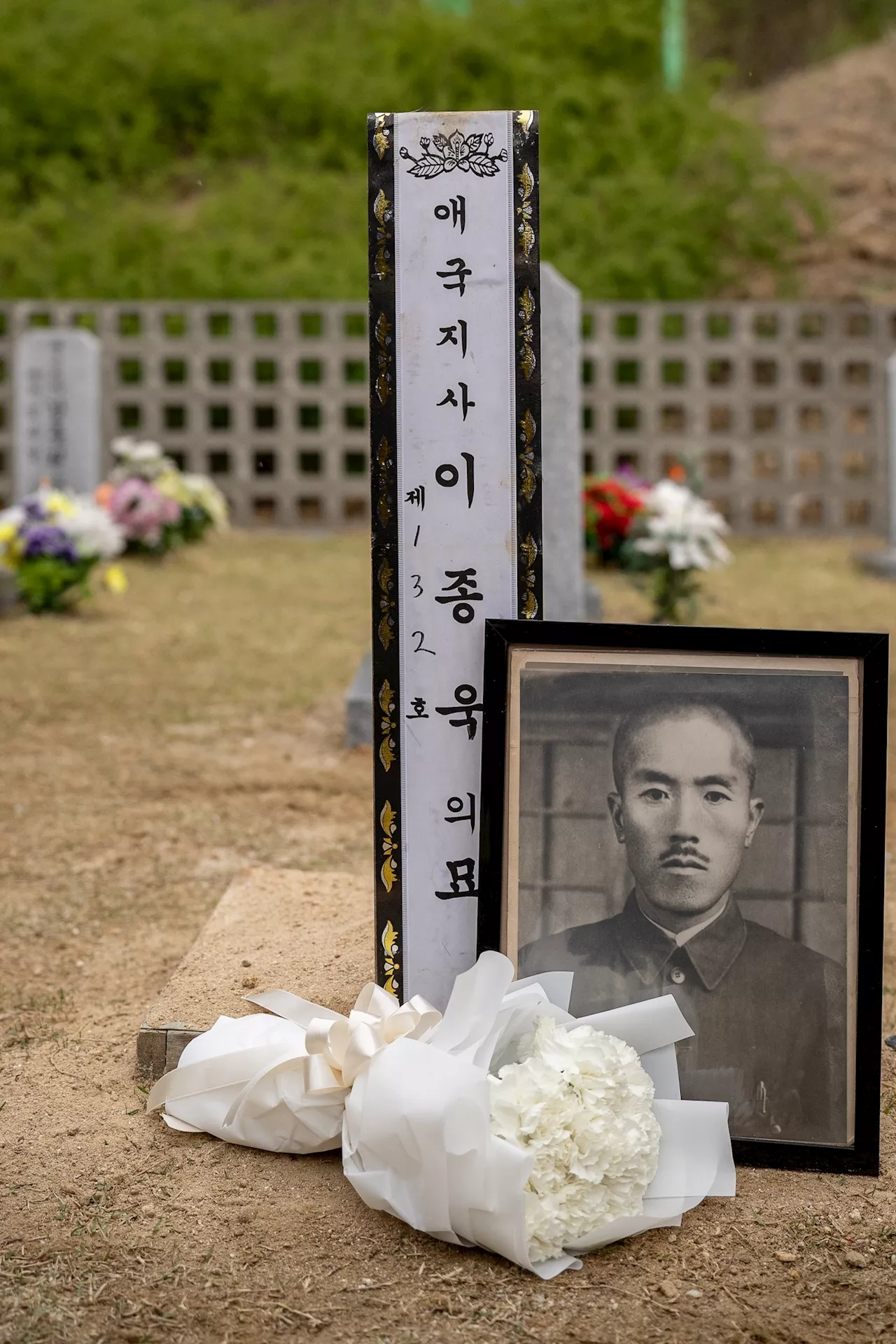 Meeting My Ancestor: A Journey of Discovery in South Korea