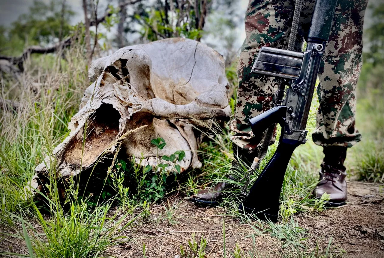 Skukuza court gives two accused snare poachers a slap on the wrist