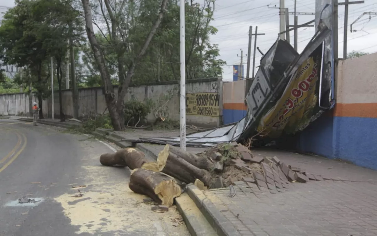 Temporal provoca quedas de árvores e alagamentos no Rio e na Baixada