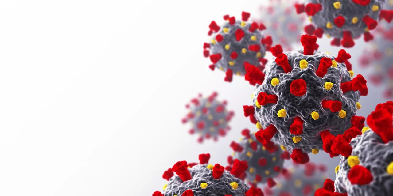 Understanding the Evolution of COVID-19 and its Variants