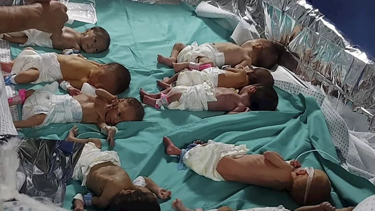 Premature babies evacuated from Gaza hospital amid fuel shortage