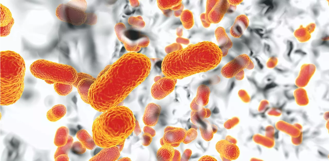 The Threat of Antimicrobial Resistance