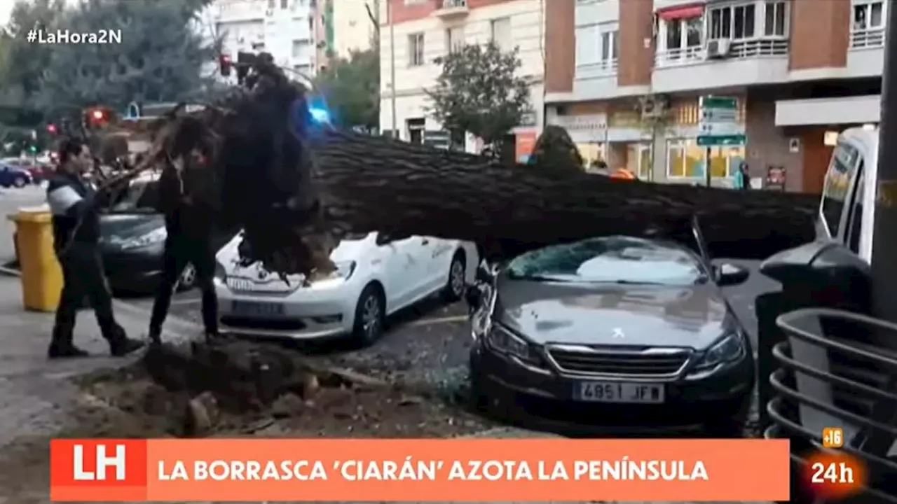 Borrasca Ciarán: Un padre y su hija se salvan de milagro de la caía de un árbol en la calle Embajadores