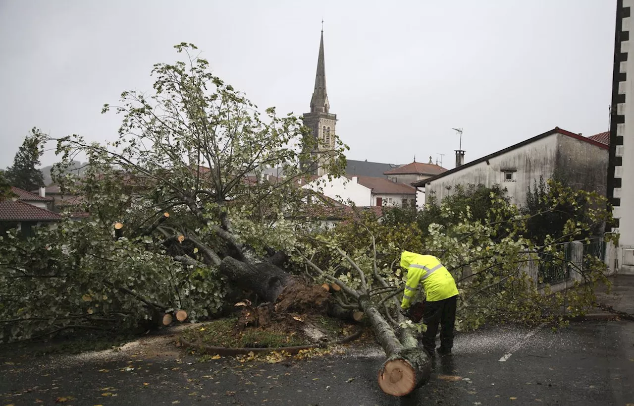 Tempête Ciaran : Pluie, rafales de vent… A quoi s’attendre en Nouvelle-Aquitaine ?