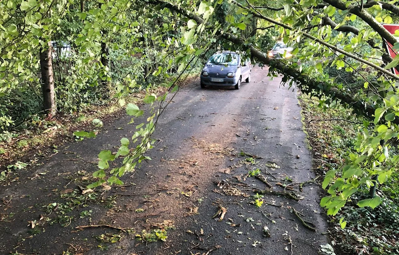 Tempête Ciaran : La circulation interdite sur toutes les routes du Finistère