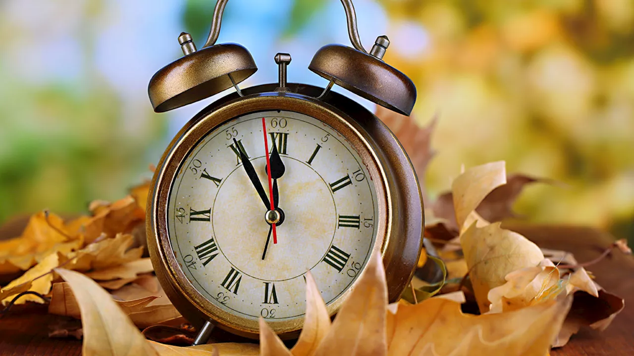 Daylight saving time: Get ready to 'fall back;' everything to know about 2023 time change