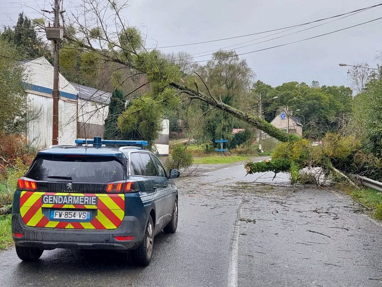 Ce qu'il faut savoir pour circuler en Gironde après la tempête Ciaran