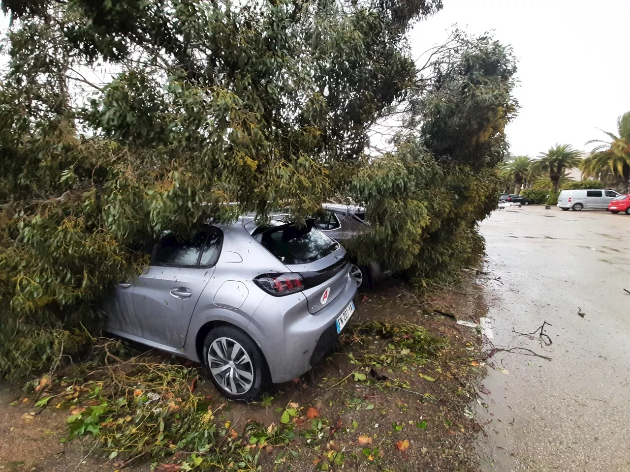 Météo à Lyon : la tempête Domingos arrive ce week-end, à quoi s'attendre ?