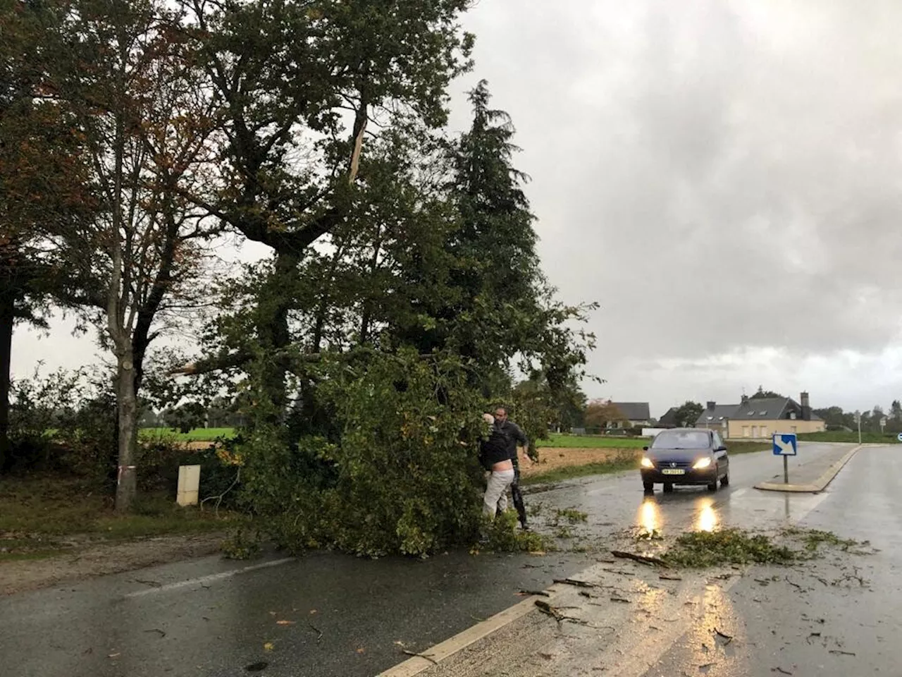 Tempête Ciaran : arbres couchés, coupures de courant et de réseaux dans le pays de Pontivy