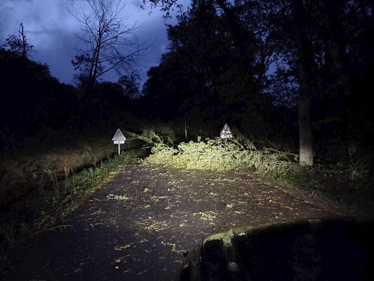 Tempête Ciaran : les premières photos des dégâts de la nuit en pays de Ploërmel