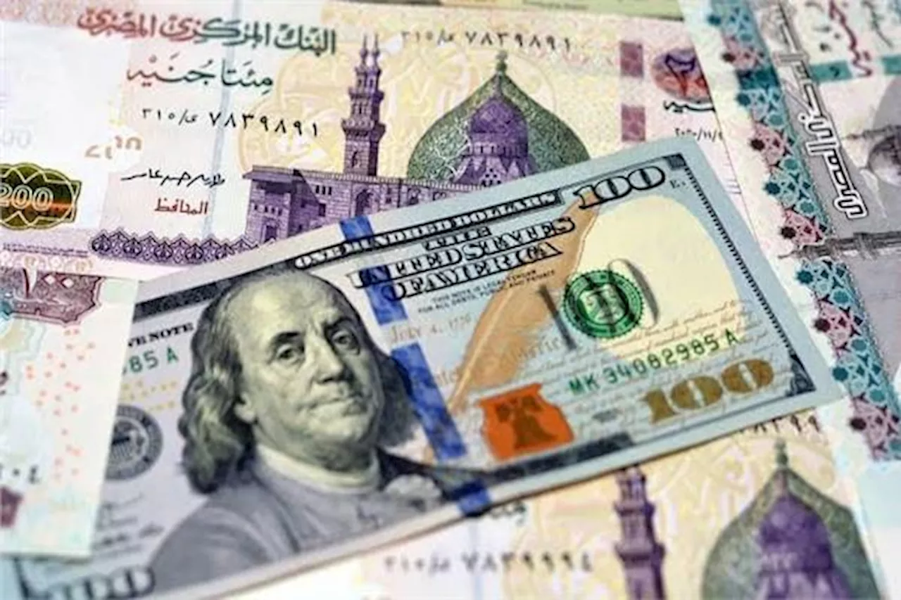 استقرار سعر الدولار في بداية تعاملات اليوم 2 نوفمبر 2023