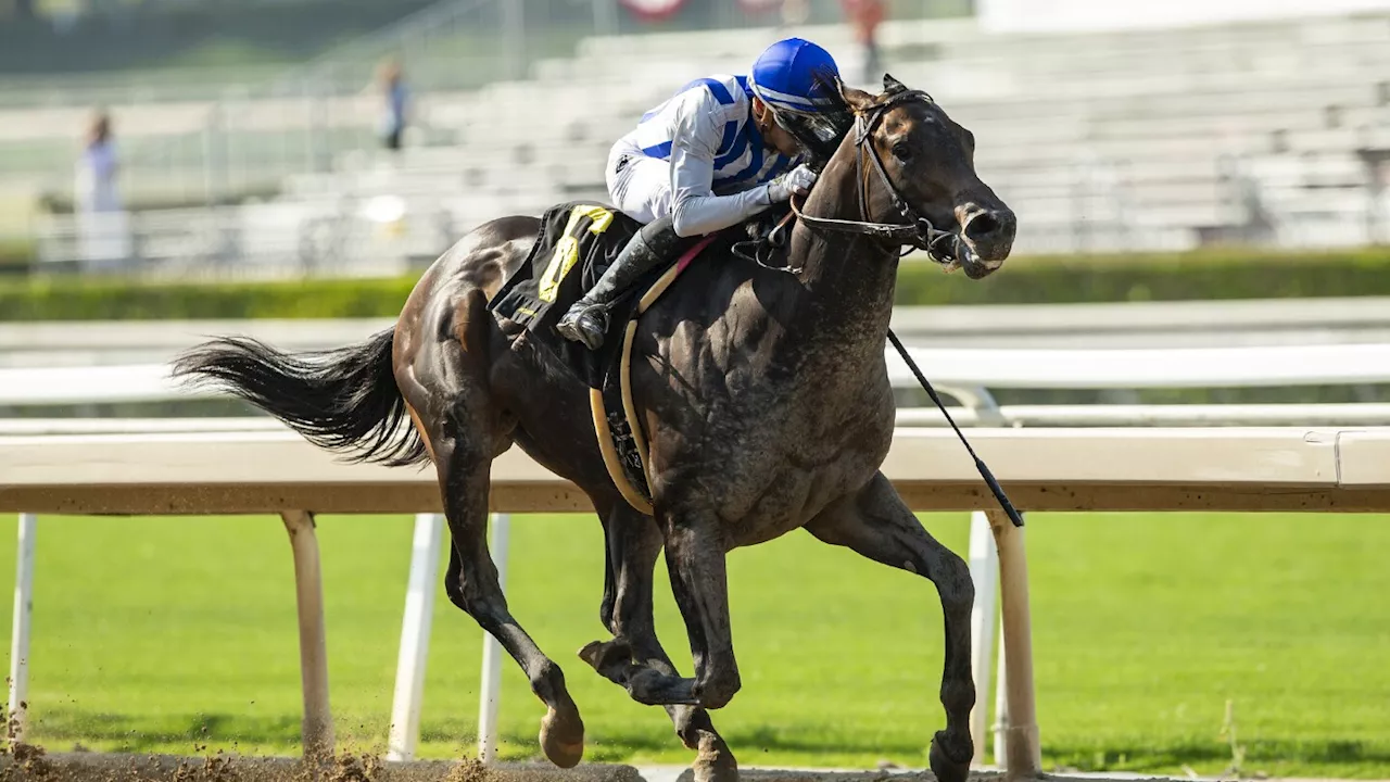 2nd horse based at Santa Anita dies leading up to Breeders' Cup