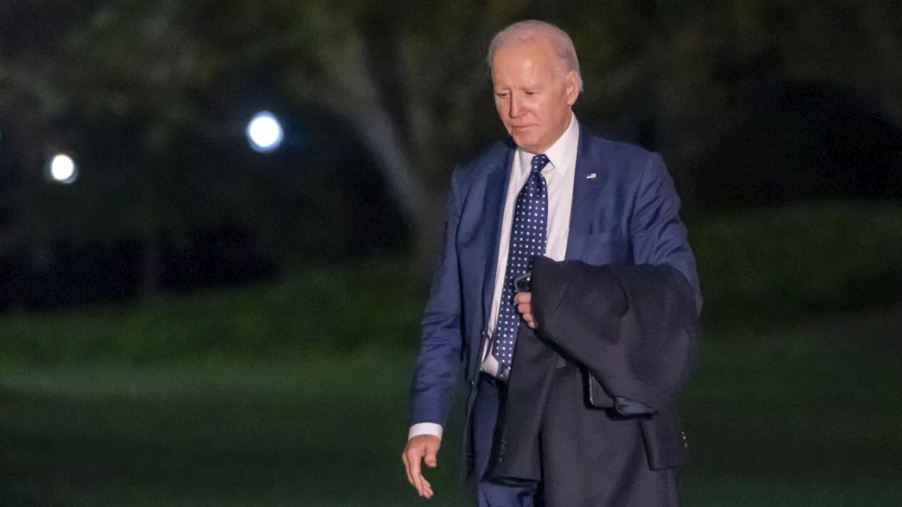 Democrats fear that Biden's Israel-Hamas war stance could cost him reelection in Michigan