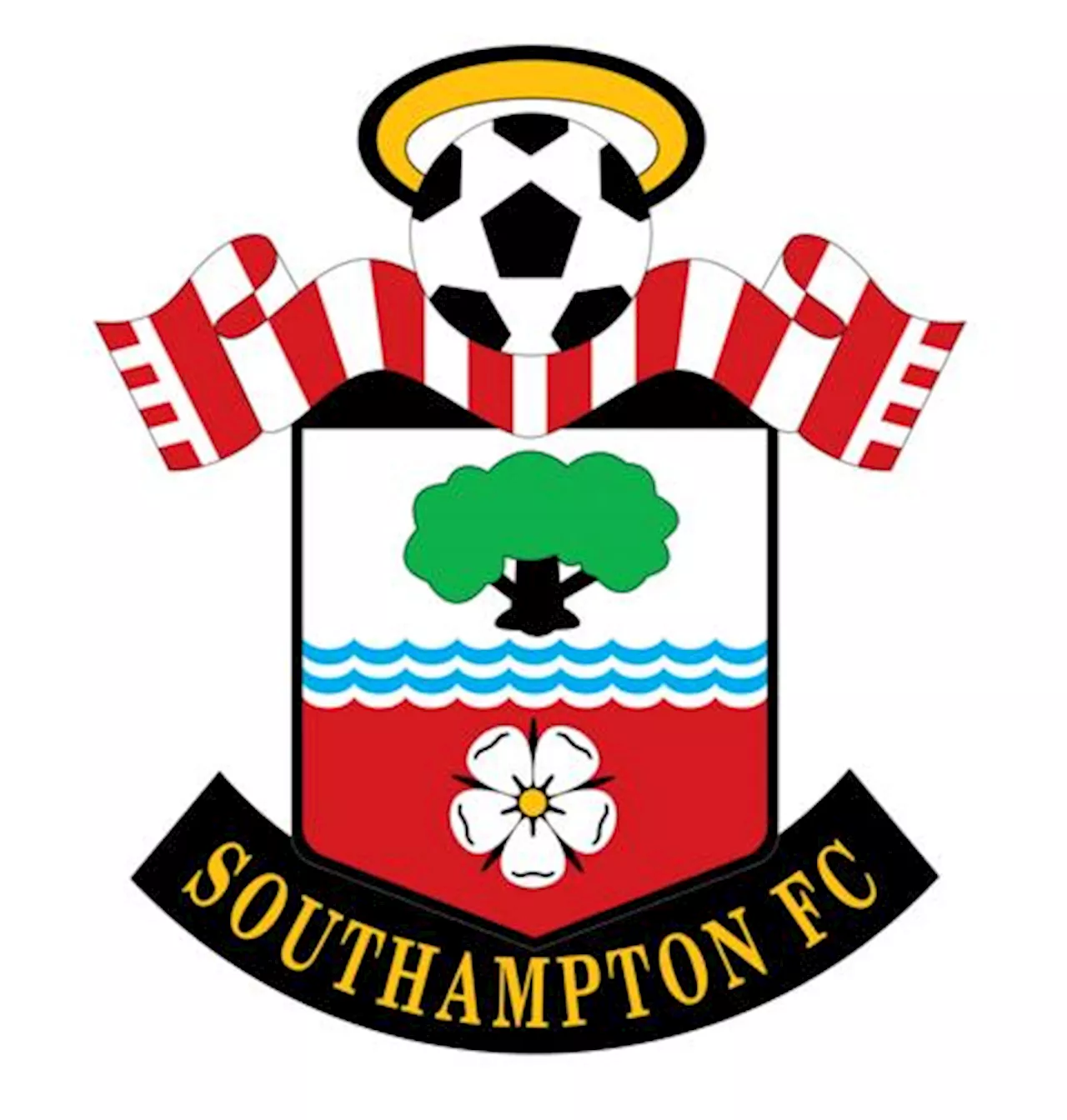 Southampton - BBC Sport