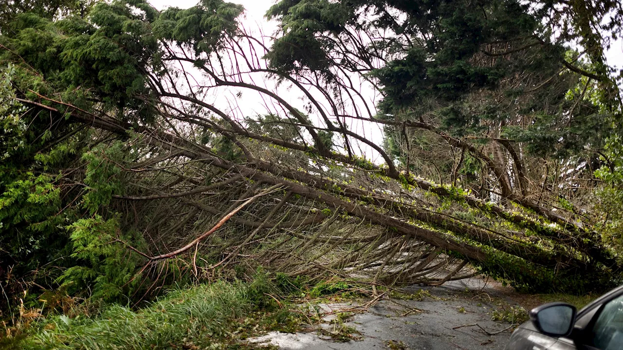 Ciaran: le dérèglement climatique accentue-t-il l'intensité des tempêtes?