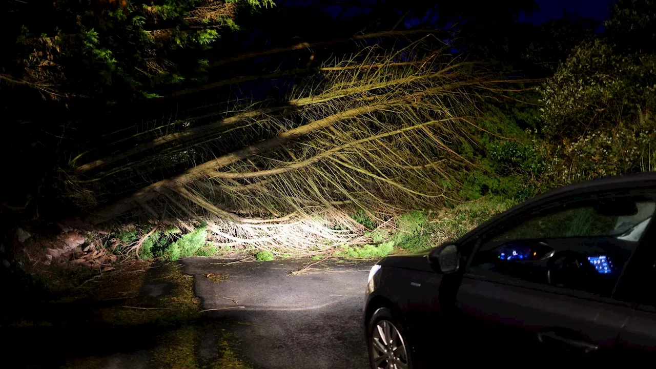 Tempête Ciaran: la circulation routière reprend progressivement dans le Finistère