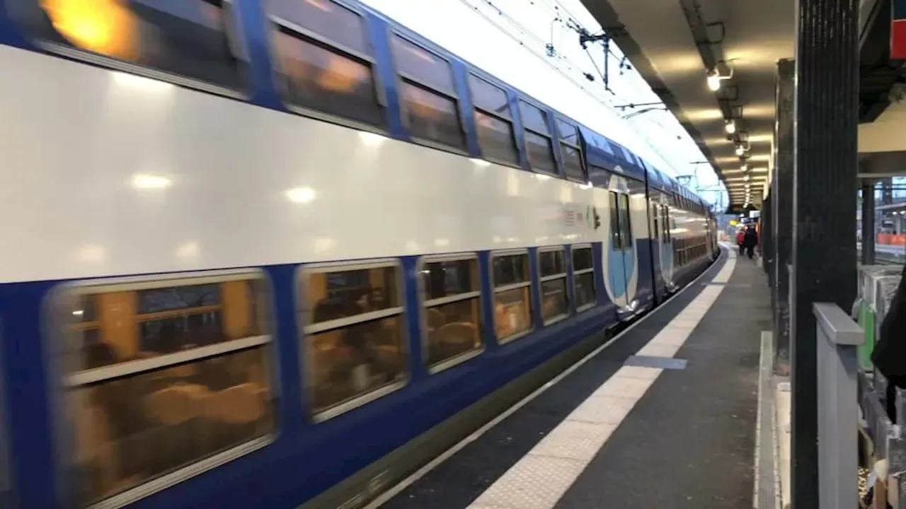 Tempête Ciaran: Trafic Perturbé Sur Le RER B Et RER D En Raison D ...