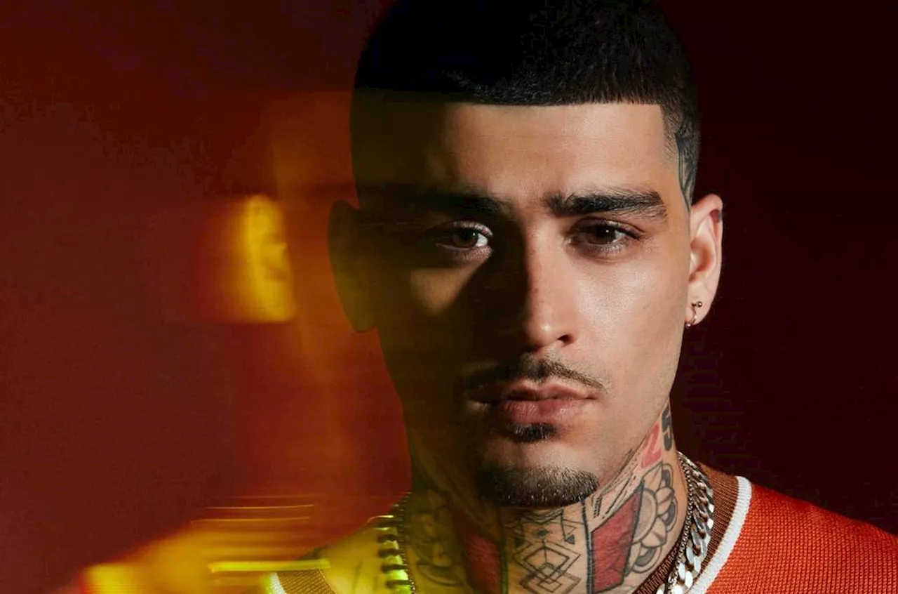 Zayn Malik Co-Starring In, Writing Music For '10 Lives' Animated Film