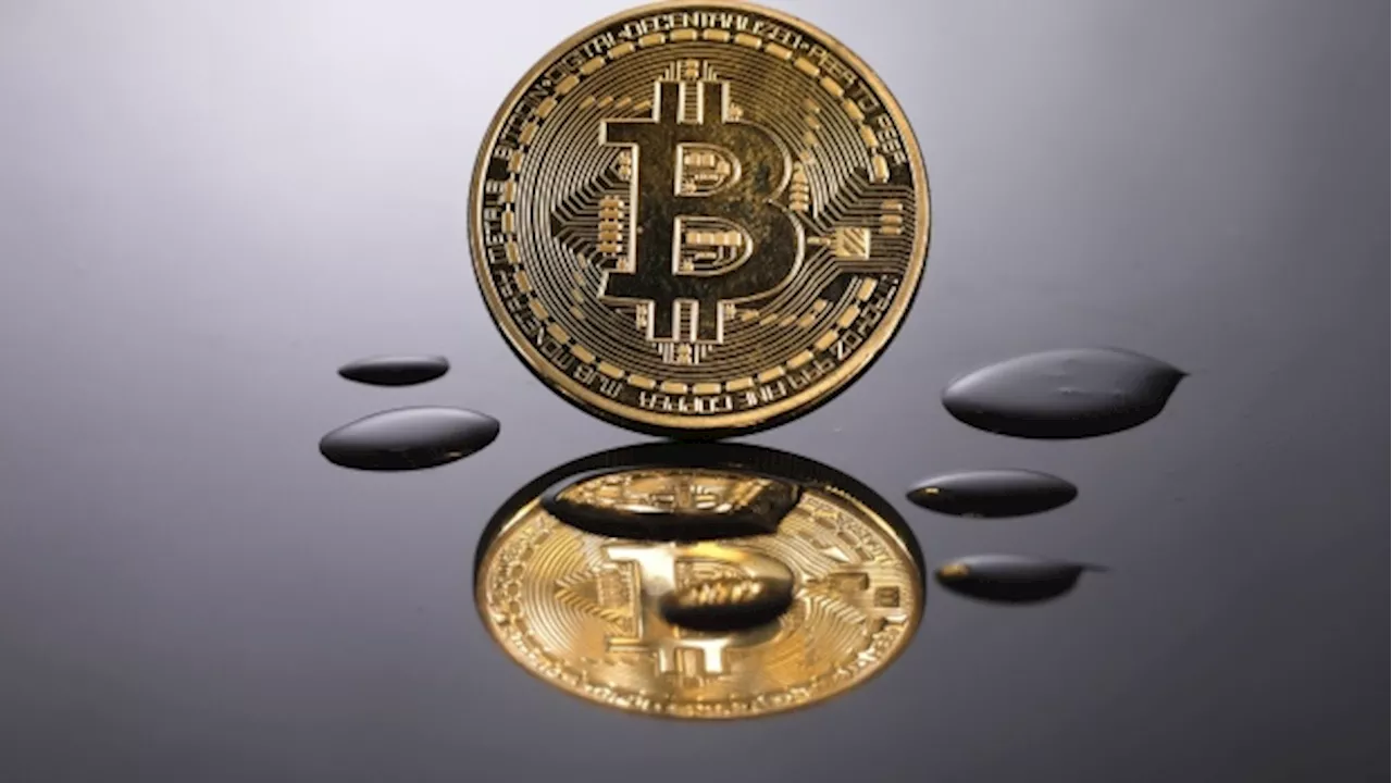 Bitcoin Miner Northern Data Could Float Cloud Unit, Expects Loss